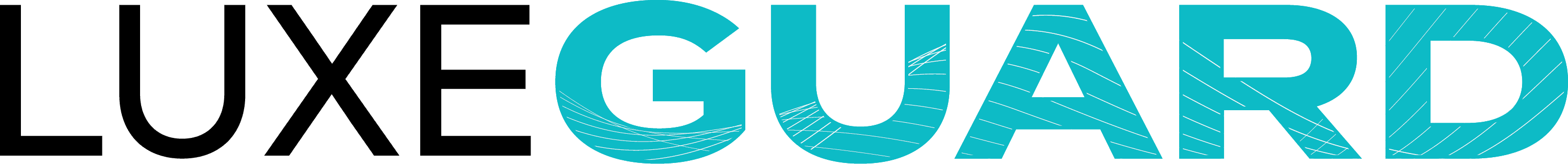 LuxeGuard — Factory studio — tint + PPF